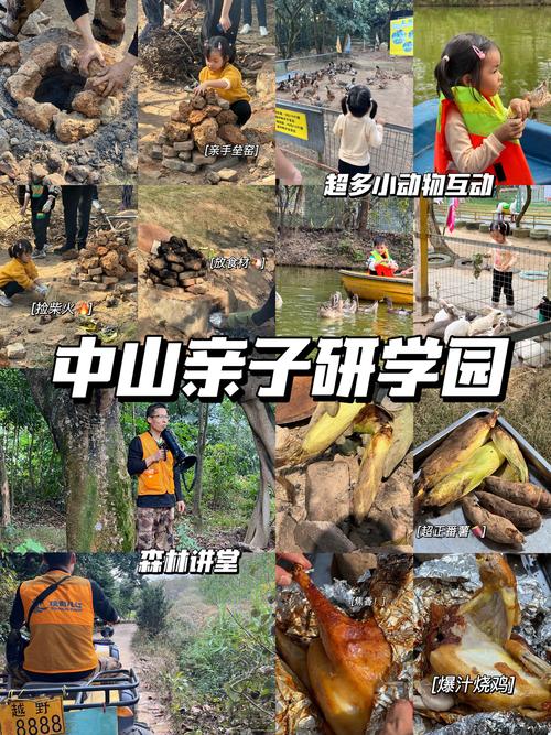 中山亲子野游,探索自然,共享快乐时光 第2张 中山亲子野游,探索自然,共享快乐时光 第2张