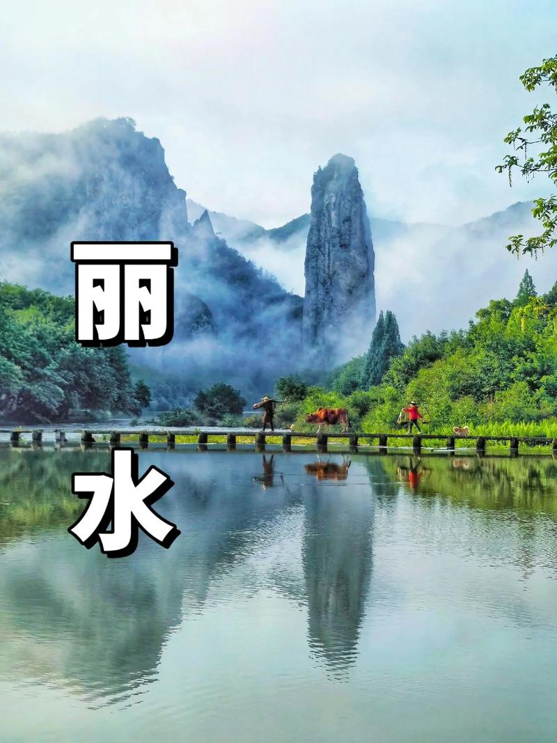 丽水夏季,避暑胜地,畅游自然之美 第2张 丽水夏季,避暑胜地,畅游自然之美 第2张