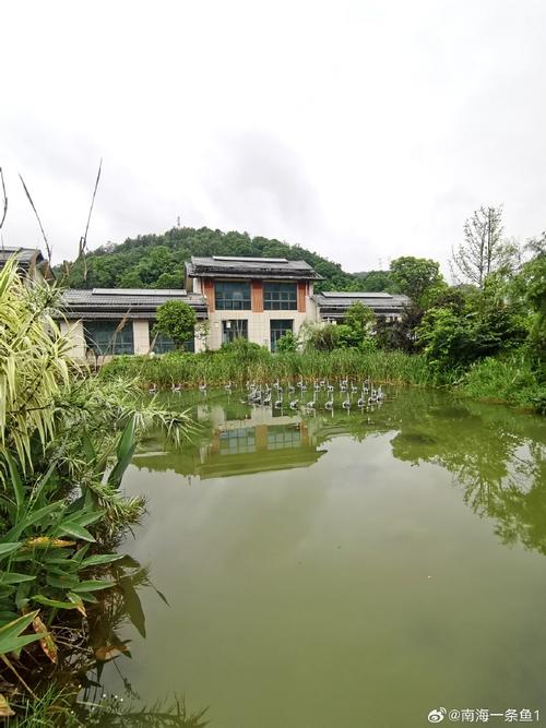 乌当区,自然风光与文化韵味的完美融合  第2张
