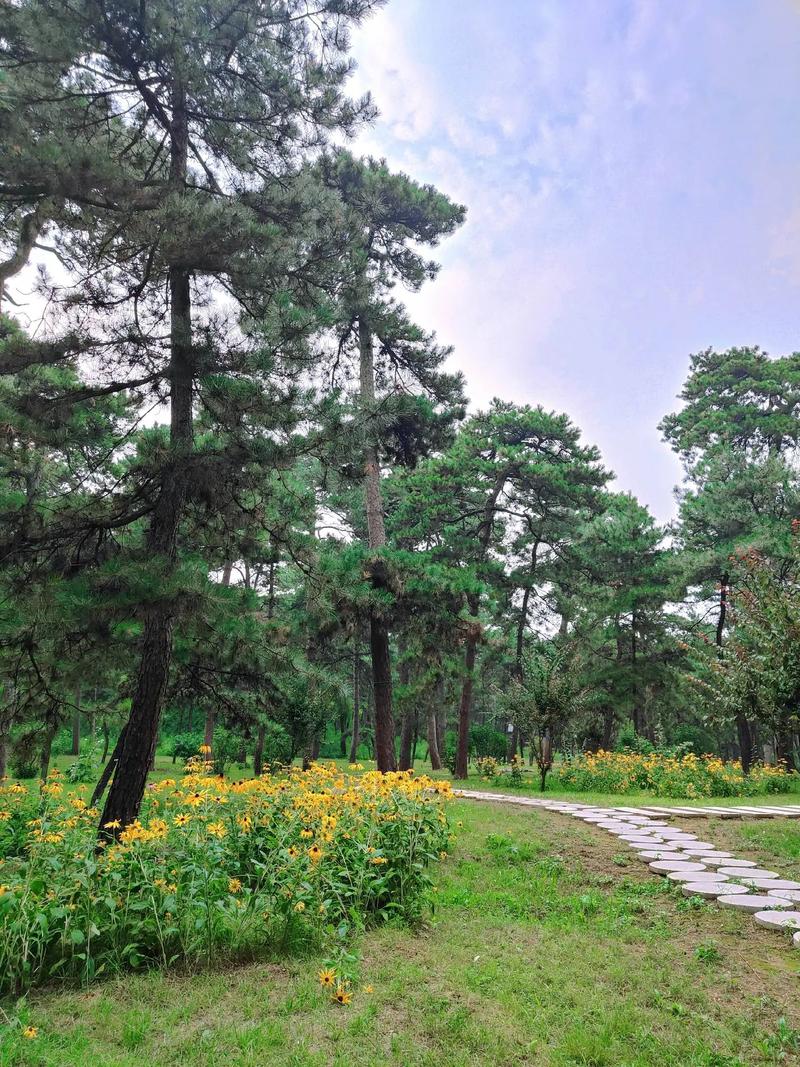 佛山松林公园,绿意盎然的都市氧吧,探寻自然之美 第2张 佛山松林公园,绿意盎然的都市氧吧,探寻自然之美 第2张