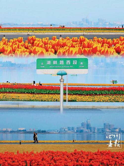 南充巴中公园,寻梦巴蜀，悠然漫步于自然画卷