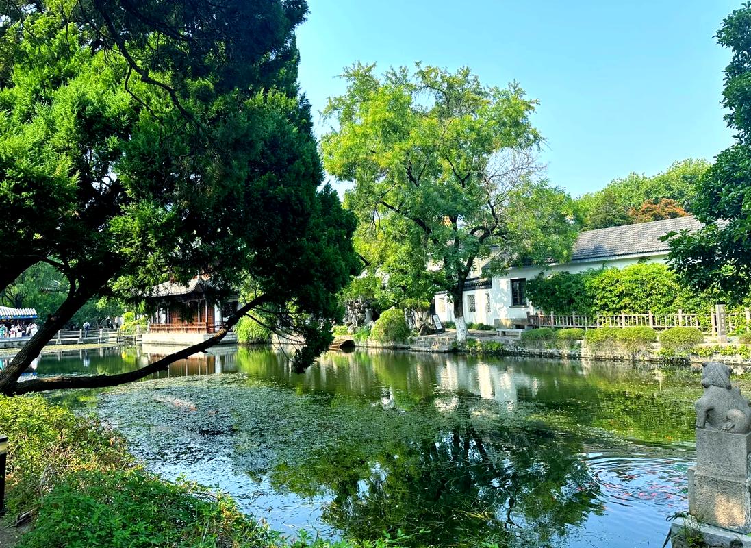 南充茶亭公园,历史与现代交融的绿色休闲胜地  第2张