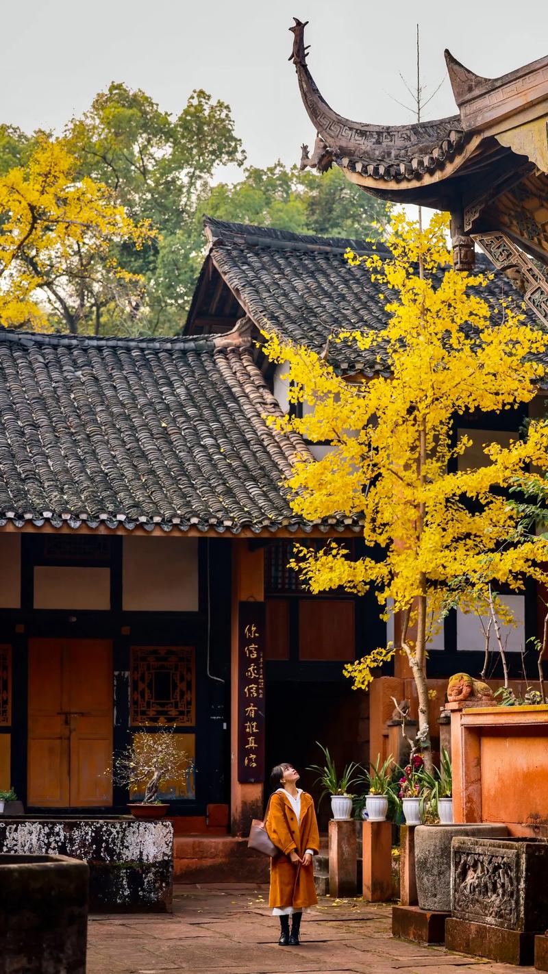 南川寺庙,千年古韵,禅意盎然 第2张 南川寺庙,千年古韵,禅意盎然 第2张