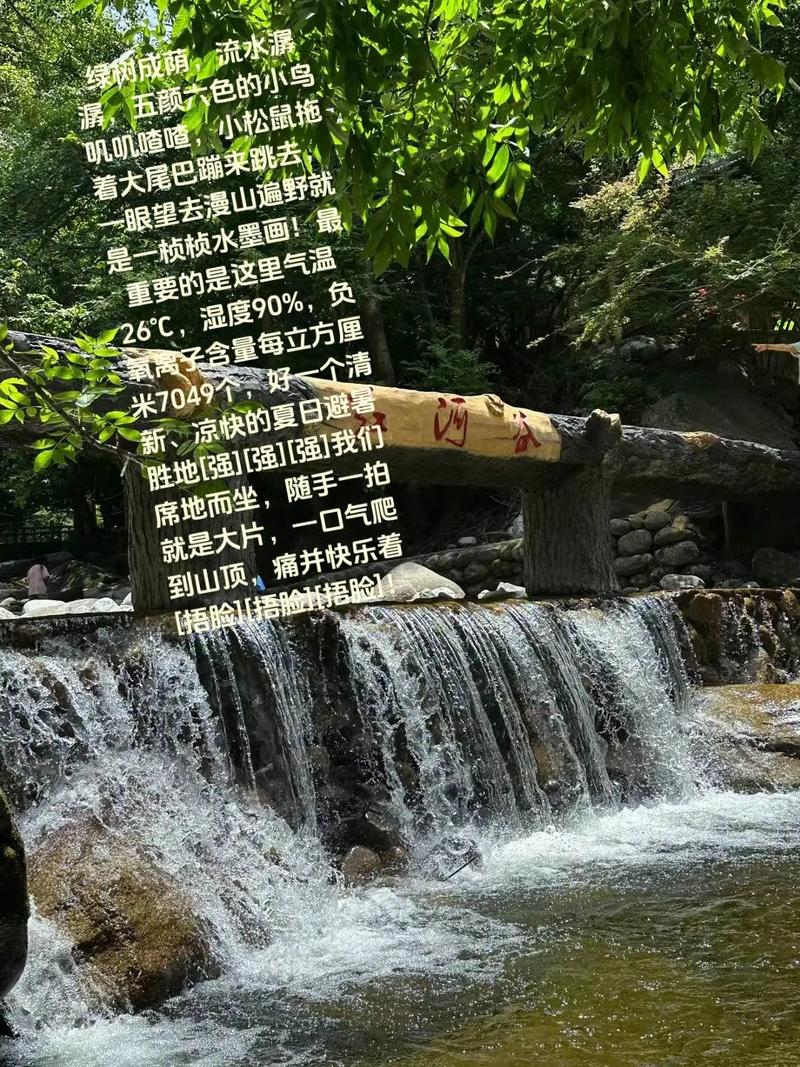 东海孔雀园,自然与文化的交融之地，探寻生态旅游的奥秘
