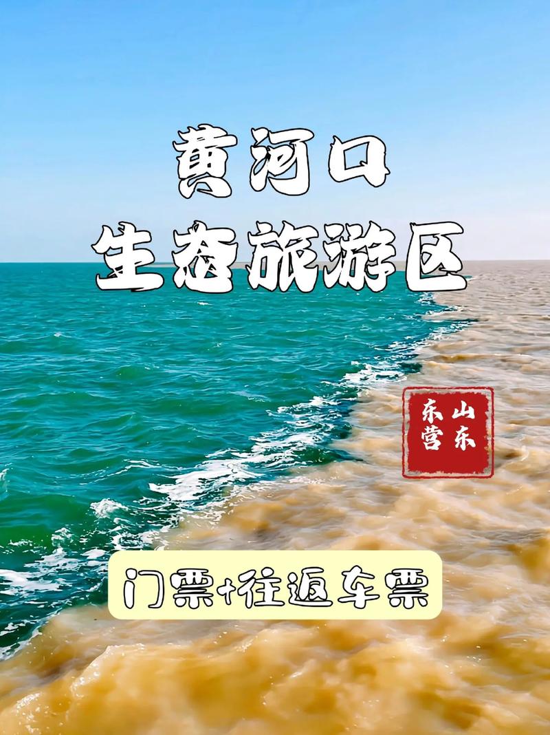 东营景区景点大全,探秘黄河入海口，感受生态旅游魅力  第2张