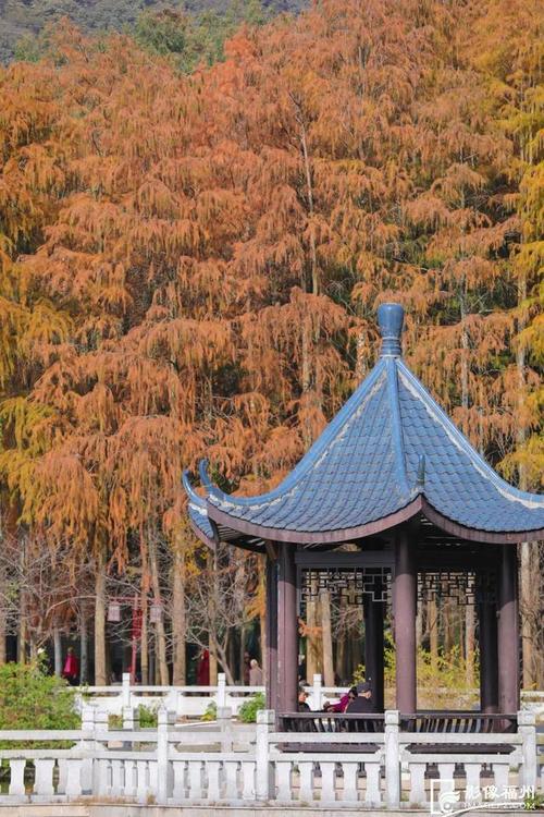 冬日福州，公园里的诗意栖居_探访冬日公园的魅力