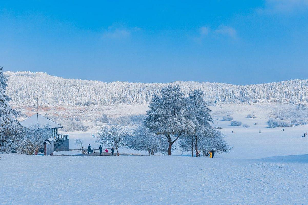 冬日里的冰雪童话_探寻重庆雪景的绝美画卷 第2张 冬日里的冰雪童话_探寻重庆雪景的绝美画卷 第2张