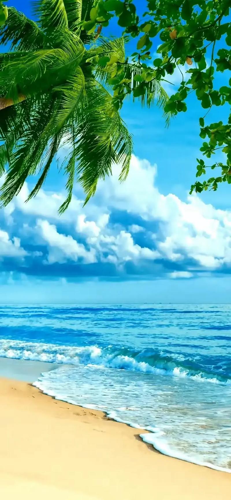初春踏青，邂逅大海的温柔_探秘我国初春看海景点