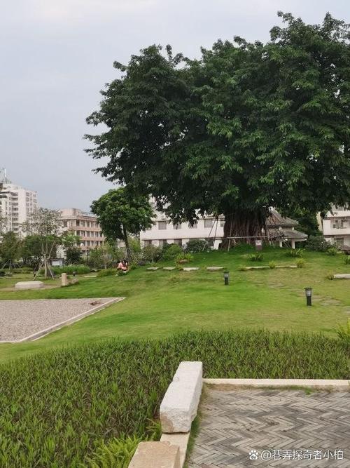 南头公园,历史与现代交融的绿色休闲胜地 第2张 南头公园,历史与现代交融的绿色休闲胜地 第2张