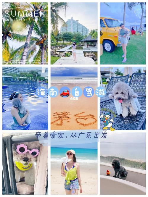 南沙之旅,携宠同行的欢乐海洋,探索带狗景点新天地 第2张 南沙之旅,携宠同行的欢乐海洋,探索带狗景点新天地 第2张