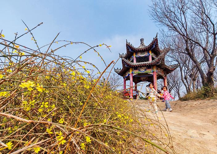 吕梁踏青，春意盎然的美景之旅
