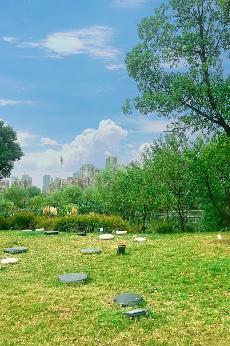 嘉兴无边草坪,诗意栖息之地,打造绿色生态新标杆 第2张 嘉兴无边草坪,诗意栖息之地,打造绿色生态新标杆 第2张