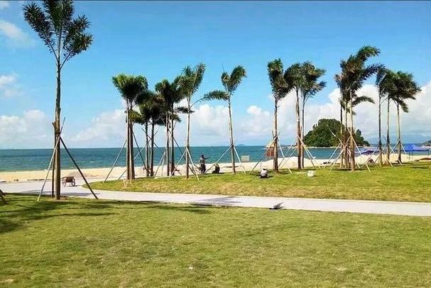 大亚湾繁华盛景,探寻热闹景点的魅力所在 第2张 大亚湾繁华盛景,探寻热闹景点的魅力所在 第2张