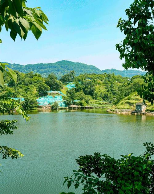 宜宾草地公园,绿色仙境，天然氧吧的休闲胜地