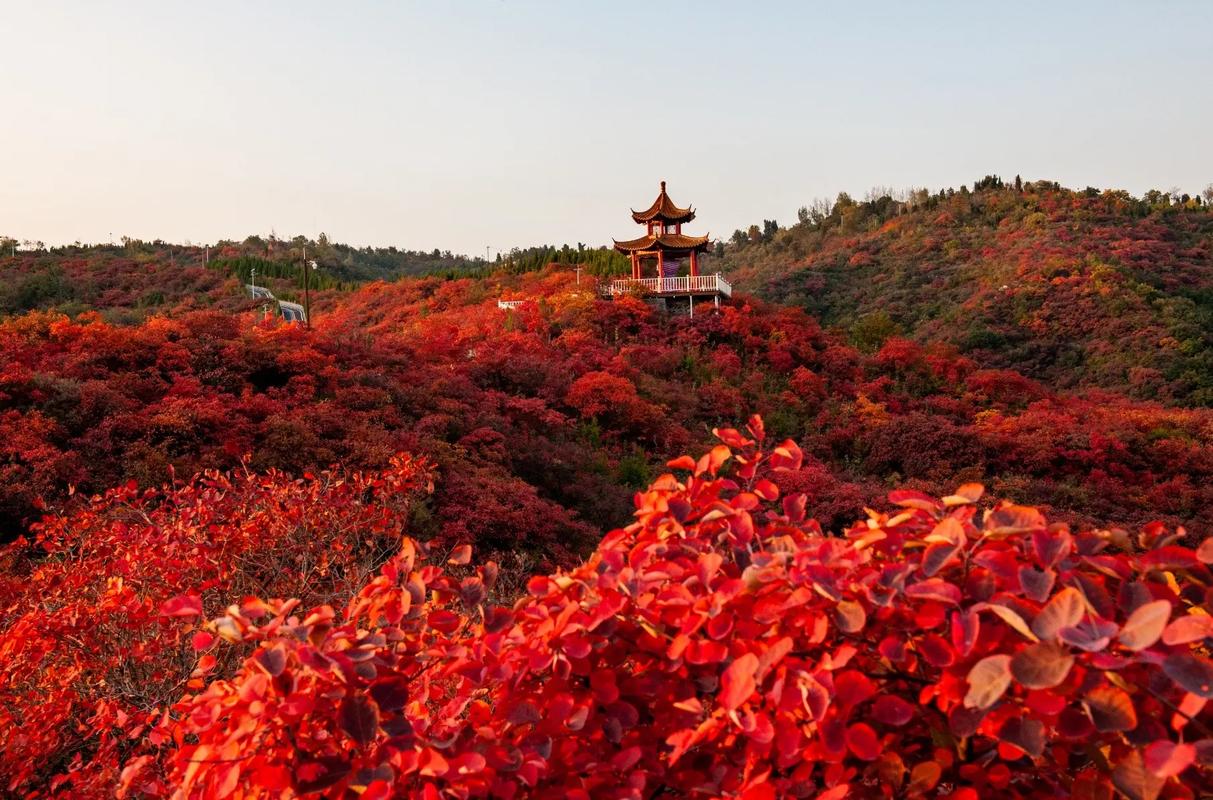 巩义免费红叶景点,秋意盎然,赏心悦目的自然画卷 第2张 巩义免费红叶景点,秋意盎然,赏心悦目的自然画卷 第2张