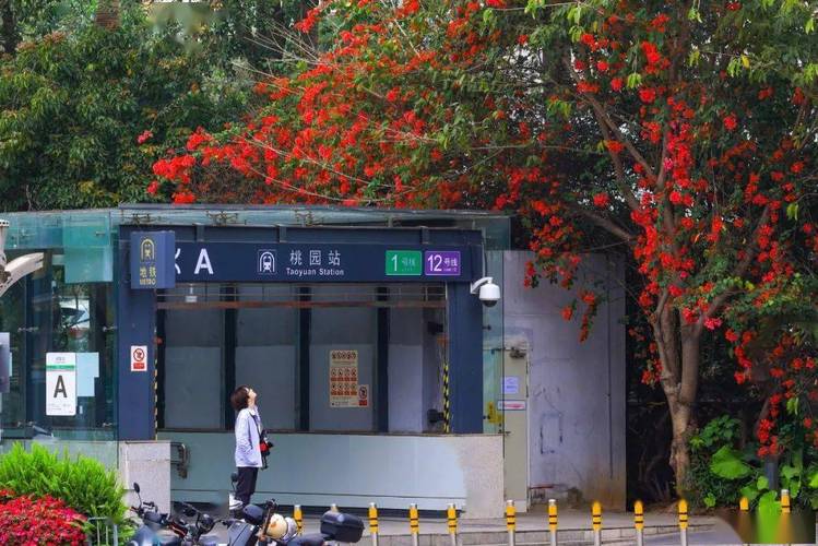 广西地铁口,城市繁华与自然景点的完美融合
