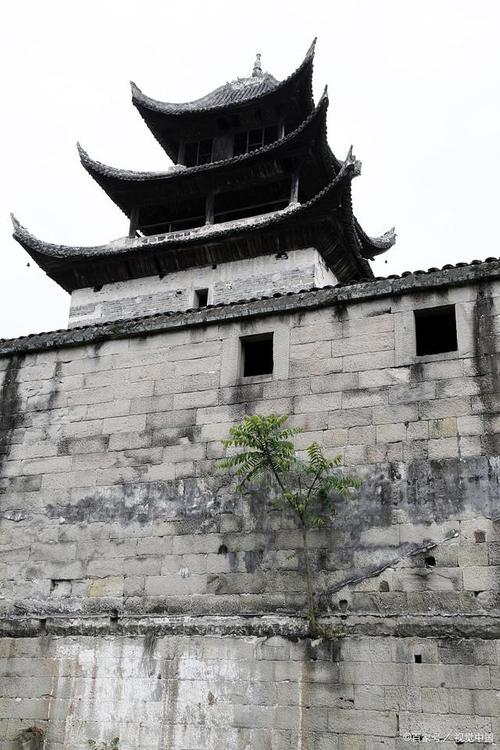 探寻信宜城南,历史与现代交融的休闲胜地 第2张 探寻信宜城南,历史与现代交融的休闲胜地 第2张