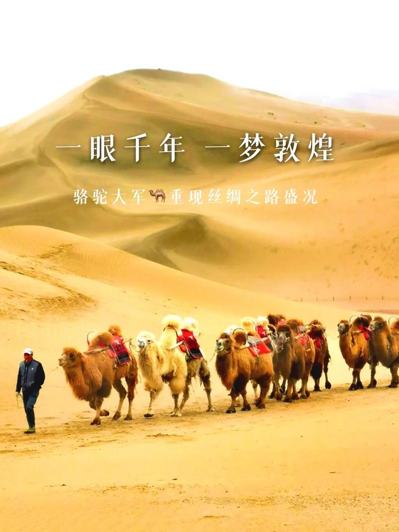 探寻千年敦煌，感受丝绸之路的韵味