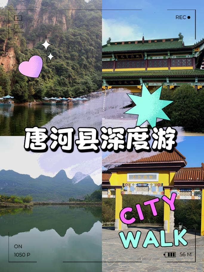 探寻唐河之美,一场团体游的奇妙之旅