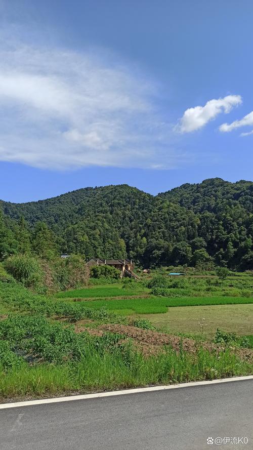 探寻大容山农庄,田园风光中的休闲胜地 第2张 探寻大容山农庄,田园风光中的休闲胜地 第2张