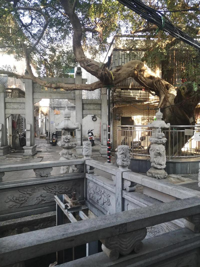 探寻宝安区,历史与现代交织的文化之旅 第2张 探寻宝安区,历史与现代交织的文化之旅 第2张
