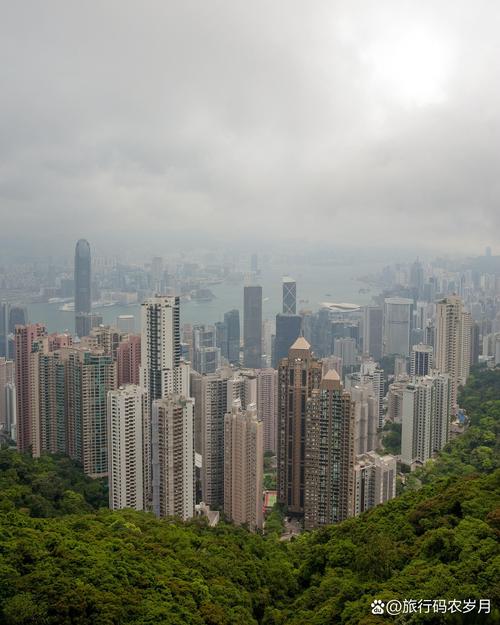探寻山城魅力_重庆蜂蜜景点之旅 第2张 探寻山城魅力_重庆蜂蜜景点之旅 第2张