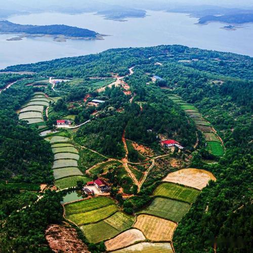 探寻应城城北,历史与现代交织的旅游胜地 第2张 探寻应城城北,历史与现代交织的旅游胜地 第2张