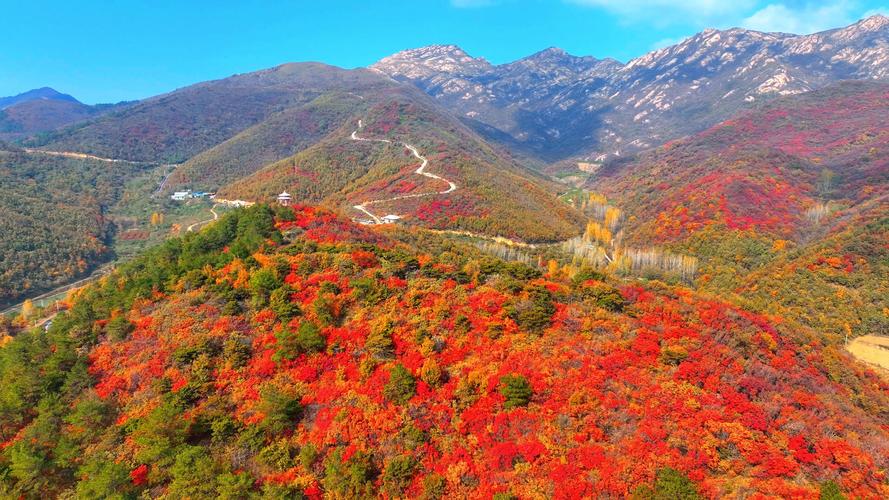 探寻桐柏深处的冷门美景,大自然的隐秘秘境