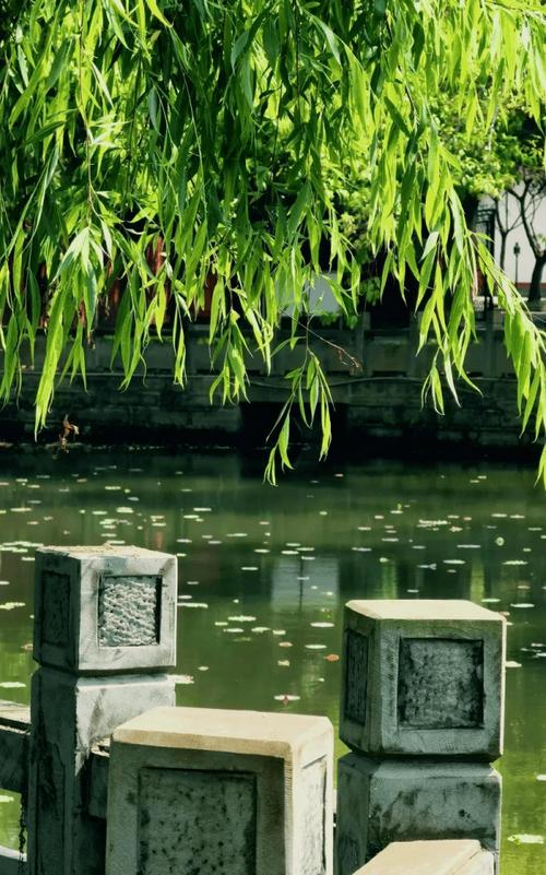 探寻梅州之美,千年古城的绿色画卷 第2张 探寻梅州之美,千年古城的绿色画卷 第2张