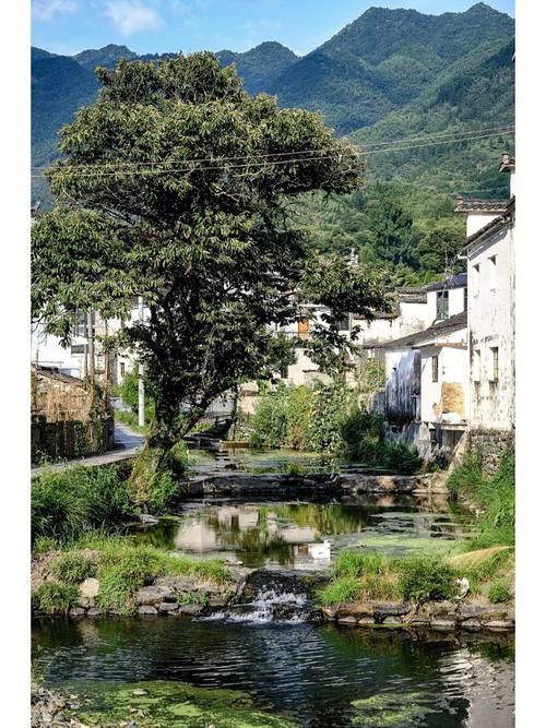 探寻樟木头乡村美景,感受田园生活韵味 第2张 探寻樟木头乡村美景,感受田园生活韵味 第2张