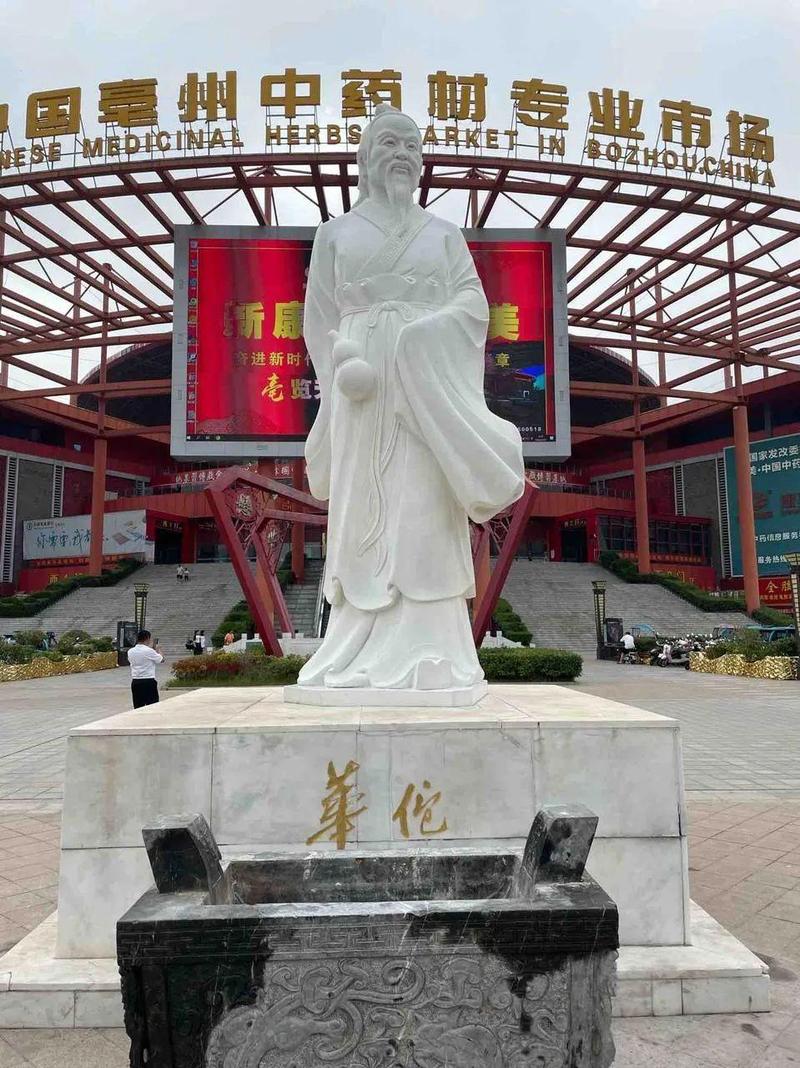 探寻毫州华佗公园,传承千年中医文化的瑰宝