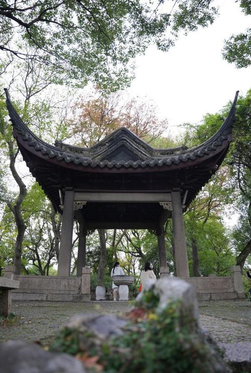 探寻沧县古韵,周边古迹景点之旅  第2张