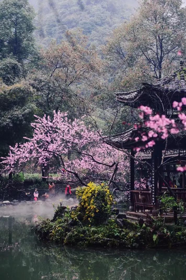 探寻河南桃花乐园,春日里的浪漫仙境  第2张