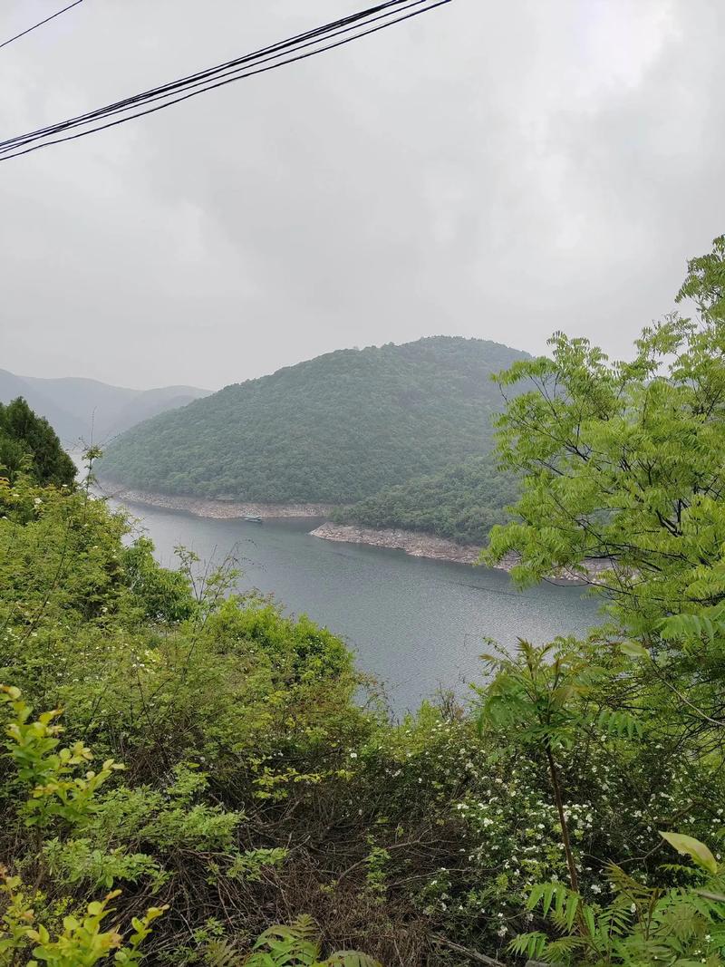 探寻淅川山区,大自然的馈赠与人文的瑰宝