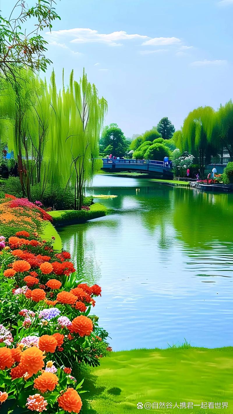 探寻清池周边美景，感受自然与人文的和谐共鸣