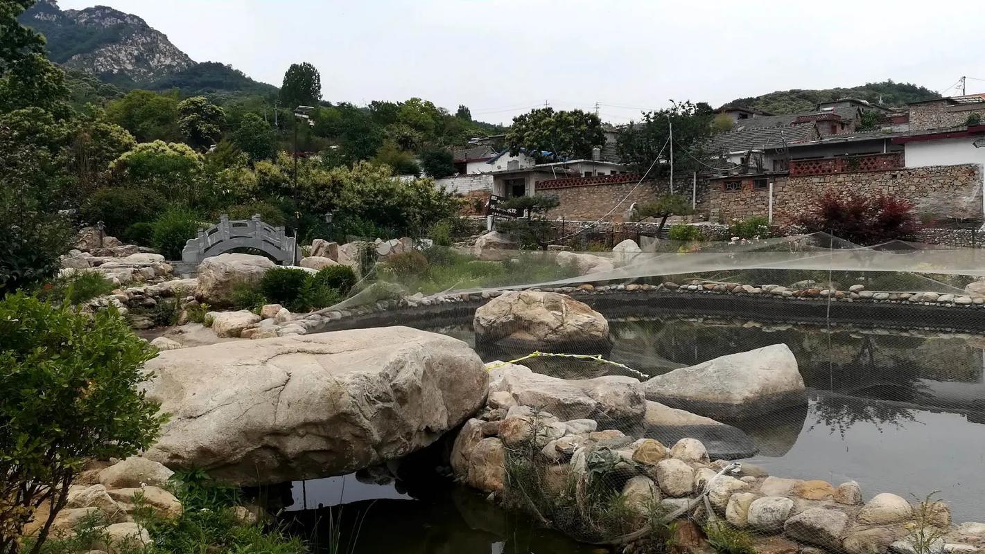 探寻温岭沙山村的自然奇观与人文风情 第2张 探寻温岭沙山村的自然奇观与人文风情 第2张