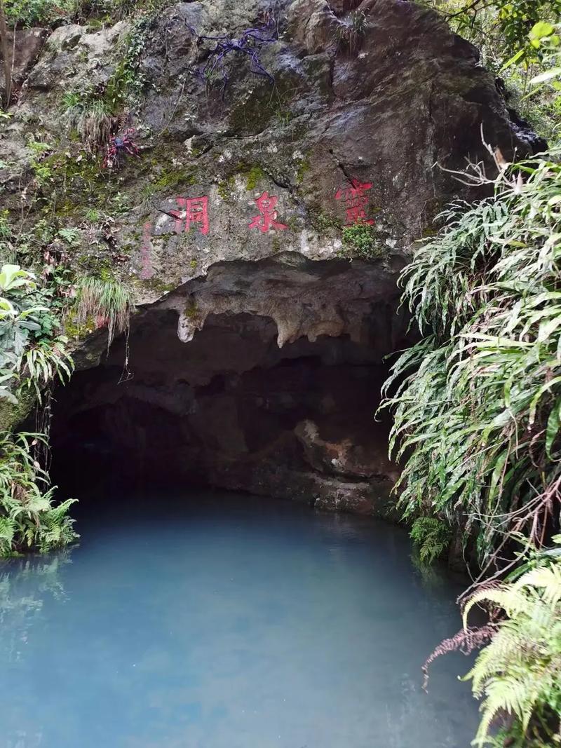 探寻灵溪洞,介绍大自然的奇幻画卷 第2张 探寻灵溪洞,介绍大自然的奇幻画卷 第2张