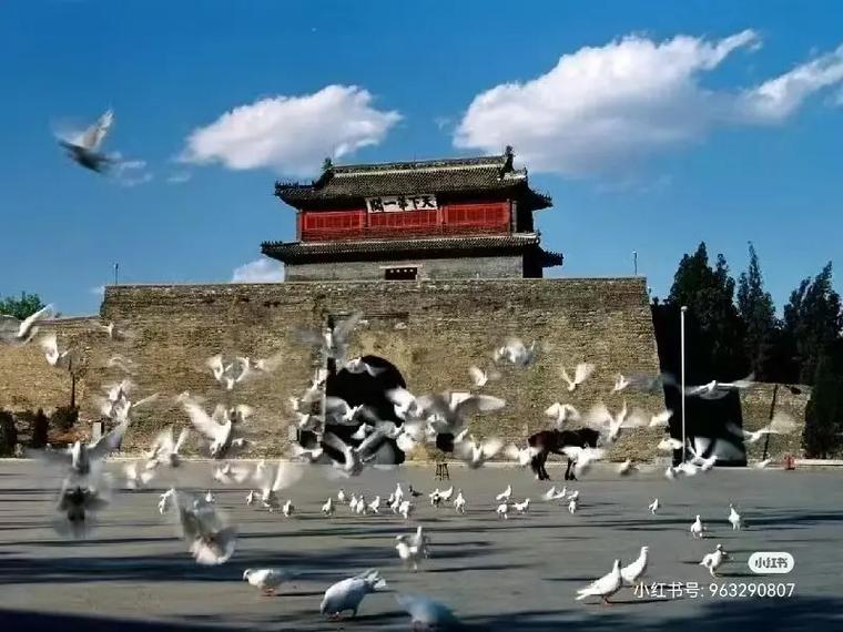 探寻秦皇岛,古城古韵,岁月流转中的文化瑰宝 第2张 探寻秦皇岛,古城古韵,岁月流转中的文化瑰宝 第2张