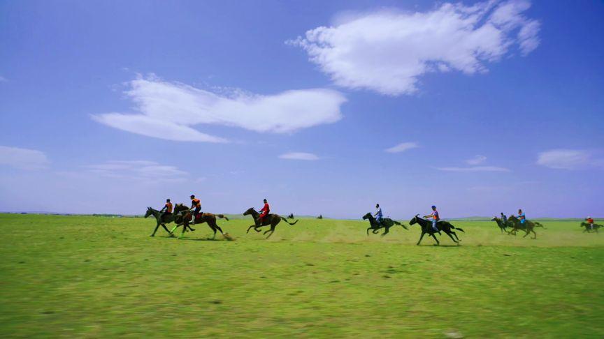 探寻速度与激情的赛马旅游胜地_介绍全球五大赛马景点 第2张 探寻速度与激情的赛马旅游胜地_介绍全球五大赛马景点 第2张
