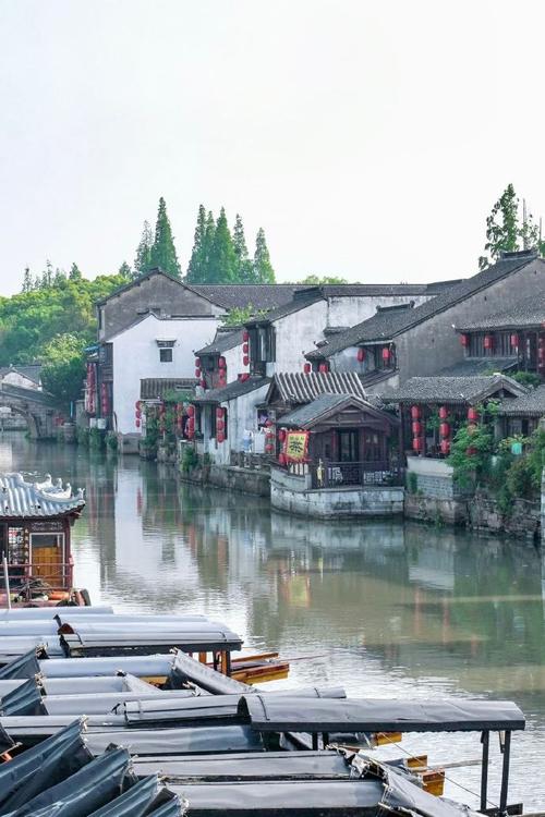 探寻阵溪之美,历史与现代交融的江南水乡