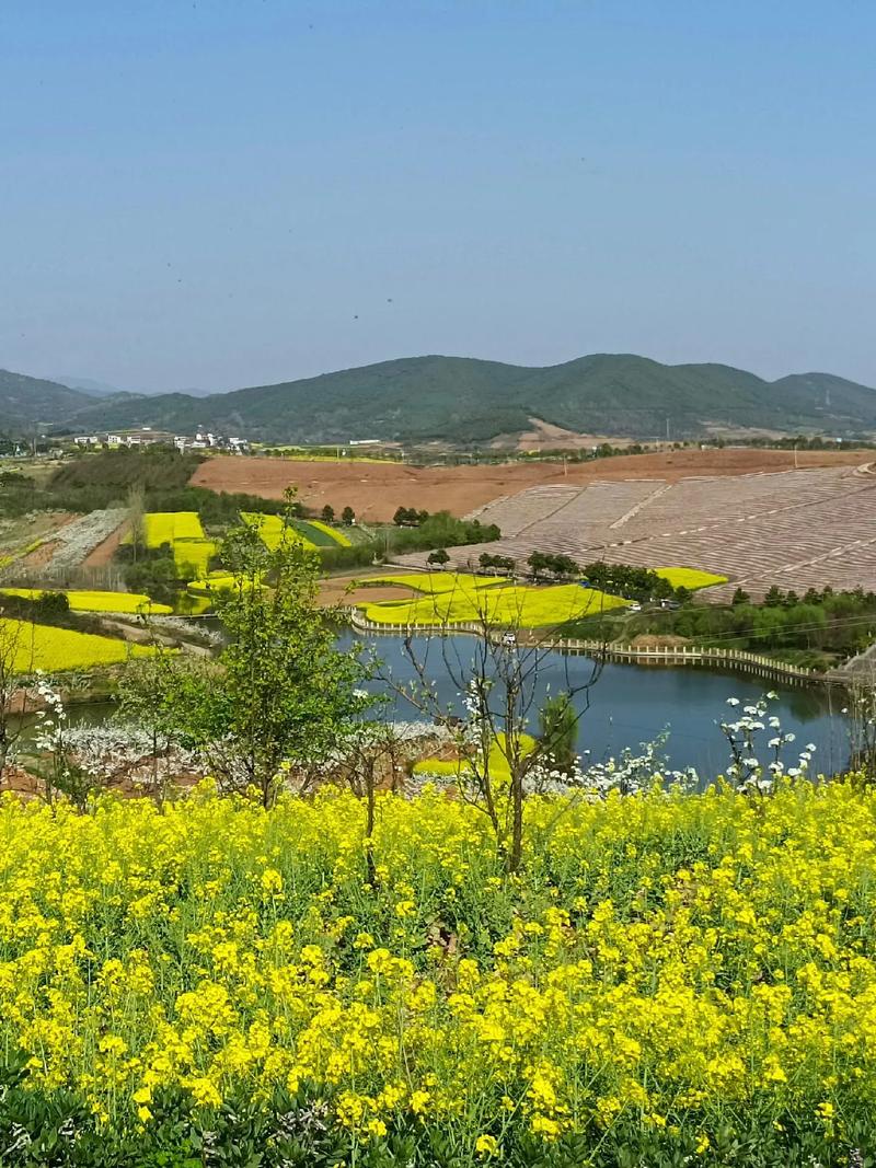 探寻随州周边农村美景,感受田园牧歌生活画卷 第2张 探寻随州周边农村美景,感受田园牧歌生活画卷 第2张