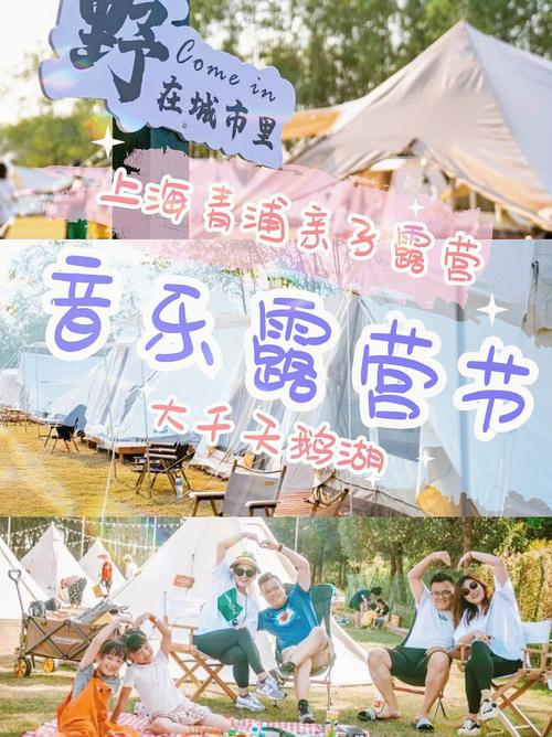 探寻青浦亲子郊游秘境，共度欢乐时光