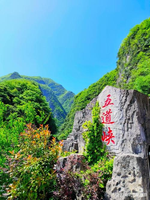 探秘保康,原始风光里的生态宝藏 第2张 探秘保康,原始风光里的生态宝藏 第2张