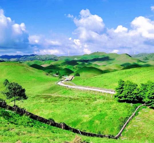探秘南平建阳草原,一片绿意盎然的世外桃源