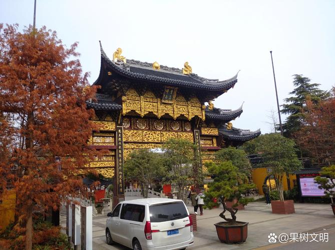 探秘南阳金花公园,古城绿意盎然，古韵新姿尽显