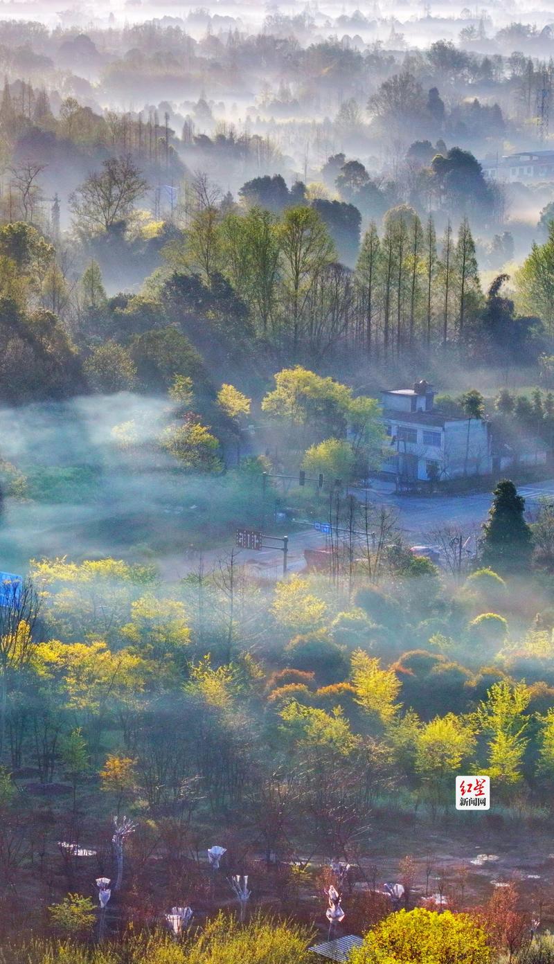 探秘姜堰乡村,风光旖旎,魅力无限 第2张 探秘姜堰乡村,风光旖旎,魅力无限 第2张