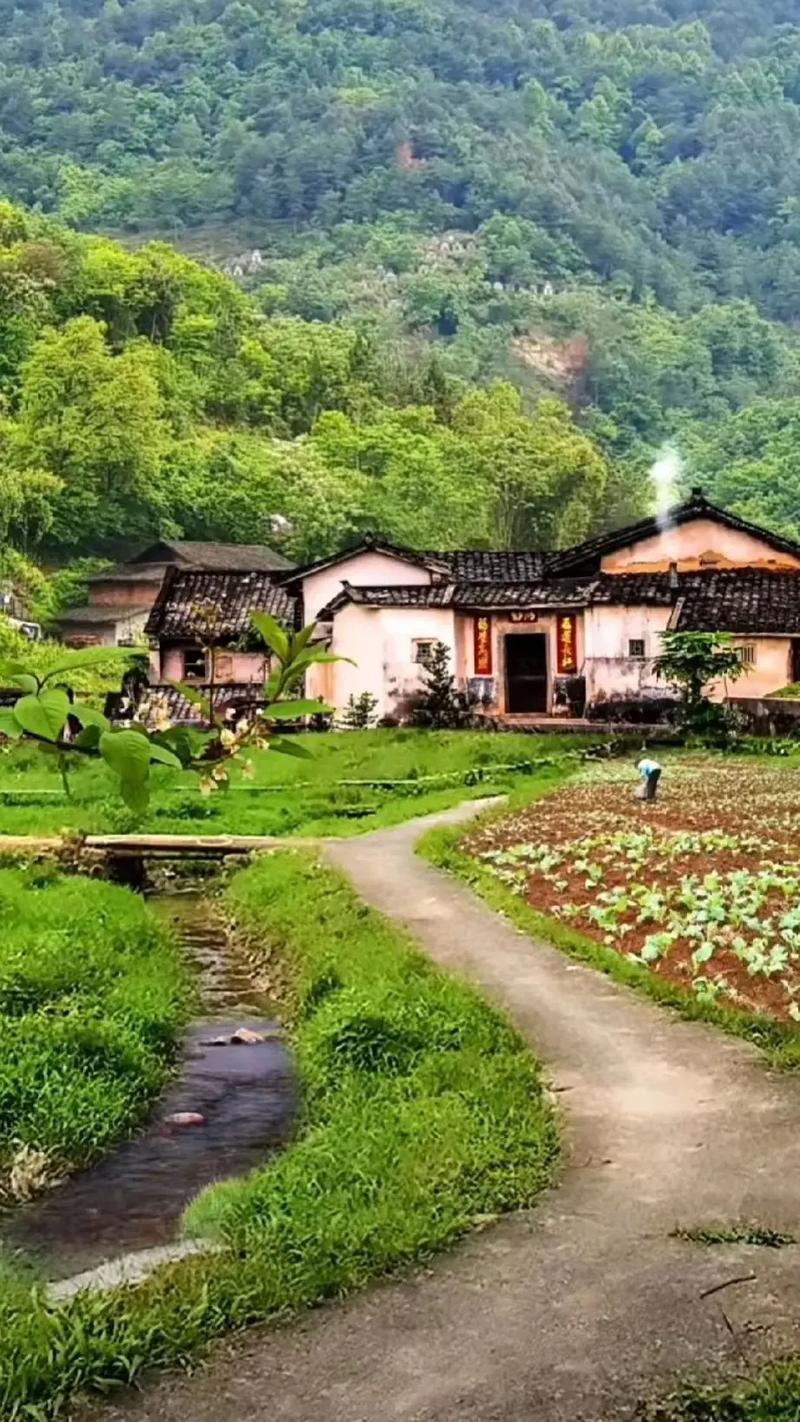 探秘姜堰乡村美景,回归自然,感受田园诗意 第2张 探秘姜堰乡村美景,回归自然,感受田园诗意 第2张