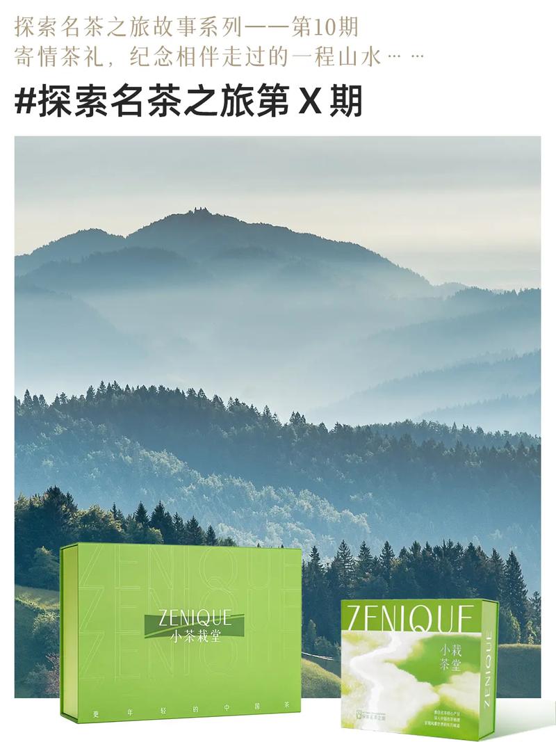 探秘宁波奉茶,一场与历史对话的茗茶之旅 第2张 探秘宁波奉茶,一场与历史对话的茗茶之旅 第2张