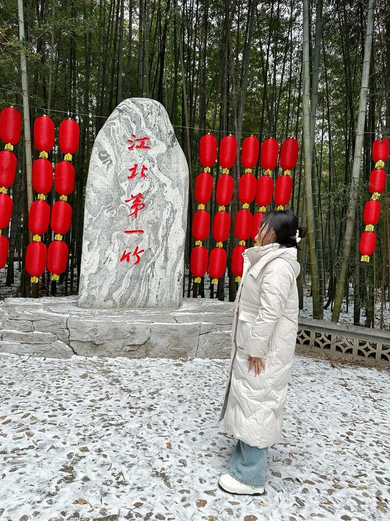 探秘日照大竹园,自然与人文的完美融合之旅