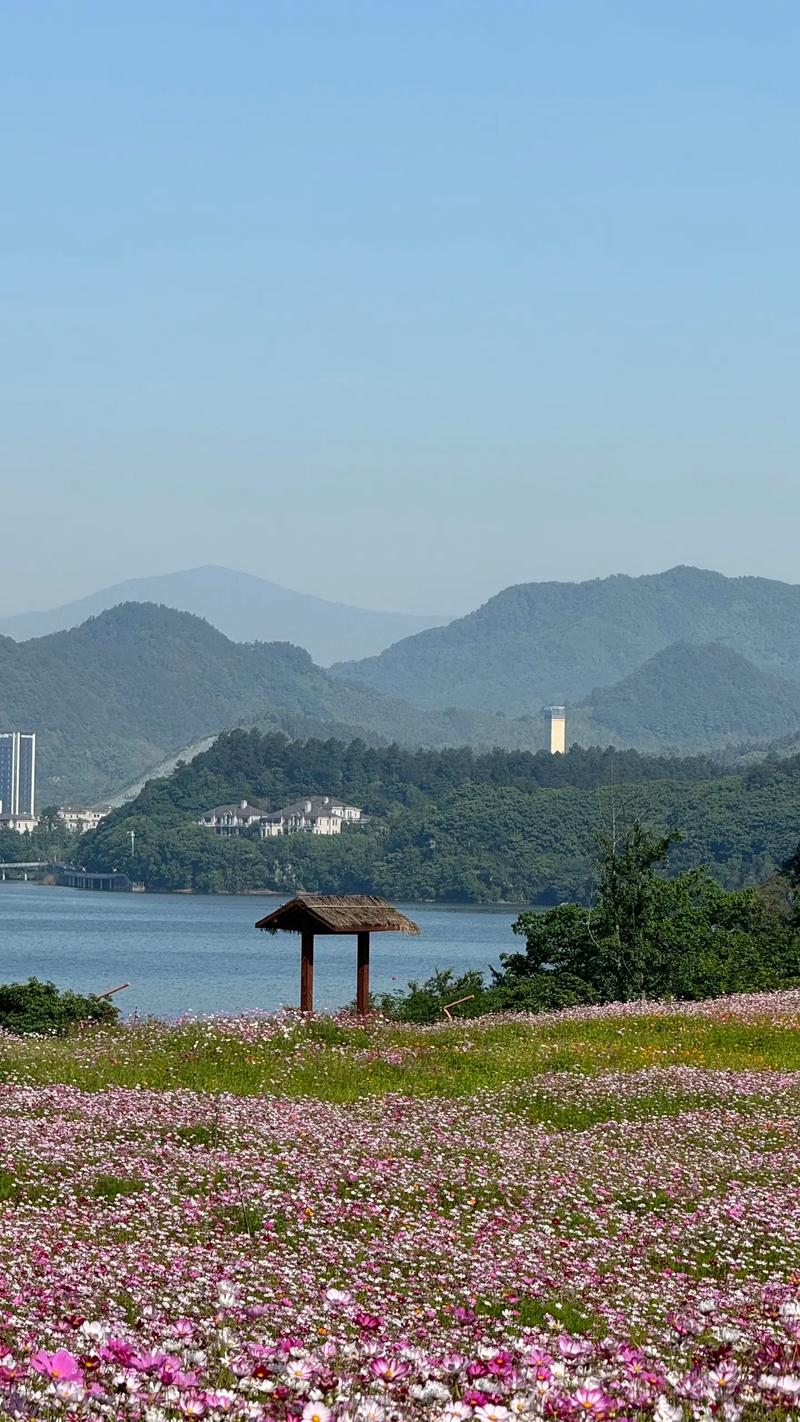 探秘杭州青山湖,山水相依，人文荟萃的生态天堂